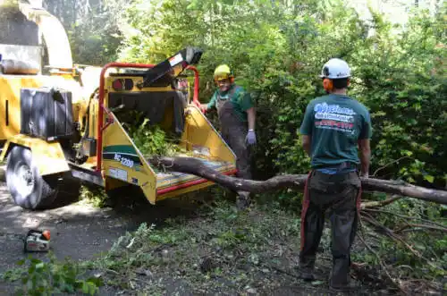 tree services Alamosa